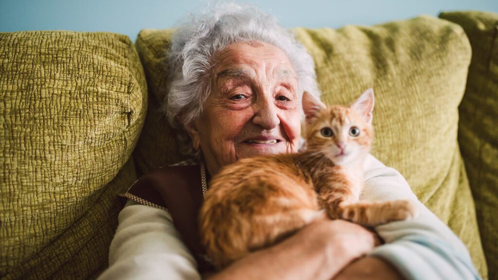 cientificos-descubren-en-los-gatos-una-posible-clave-para-estudiar-el-alzheimer