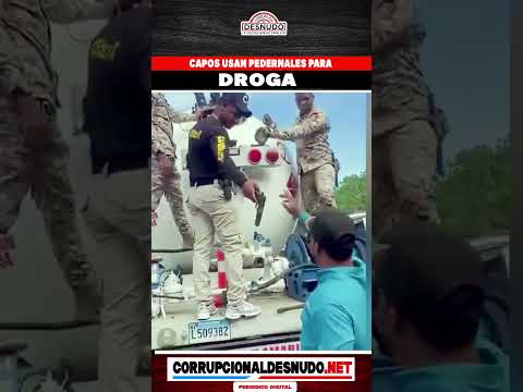 capos-usan-pedernales-para-droga