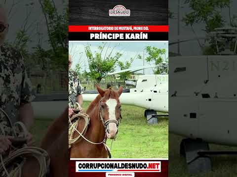 interrogatorio-de-mustafa,-padre-del-principe-karin